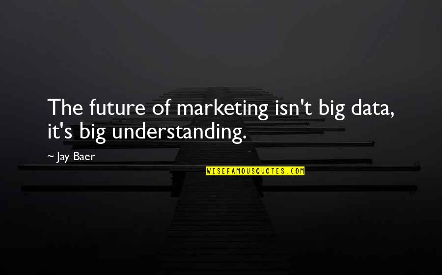 Best Big Data Quotes By Jay Baer: The future of marketing isn't big data, it's