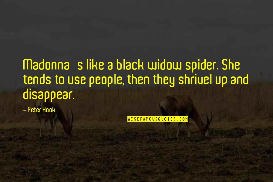 Best Black Widow Quotes By Peter Hook: Madonna's like a black widow spider. She tends
