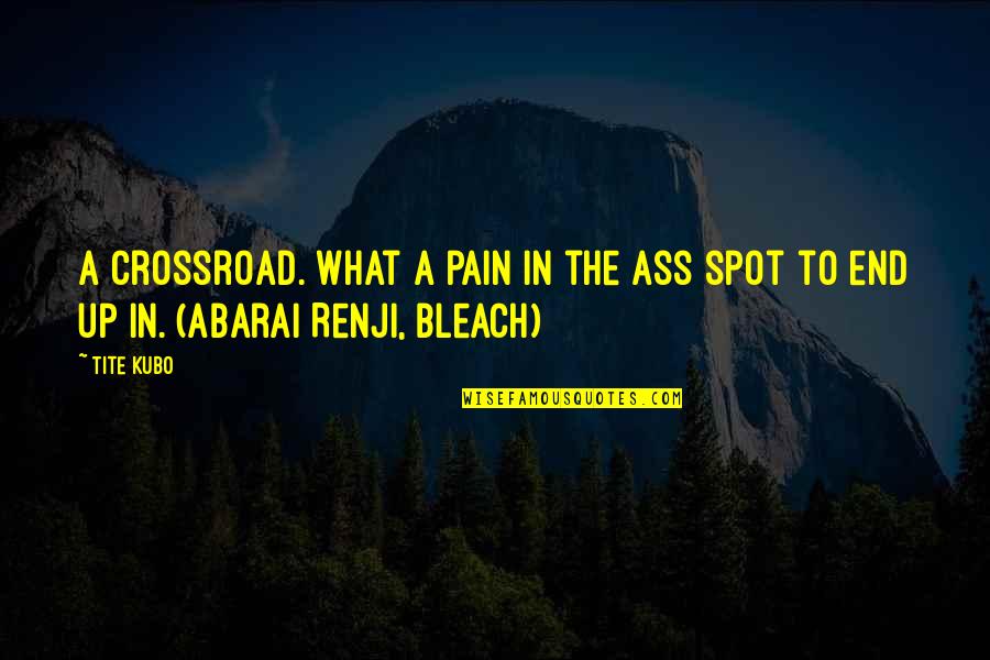 Best Bleach Quotes By Tite Kubo: A crossroad. What a pain in the ass