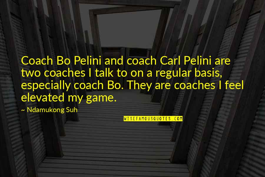 Best Bo Pelini Quotes By Ndamukong Suh: Coach Bo Pelini and coach Carl Pelini are