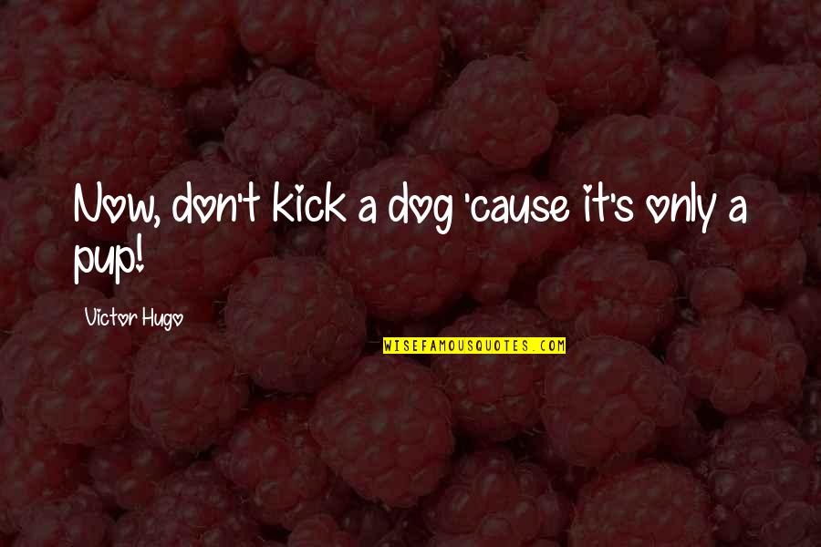 Best Bobby Kennedy Quotes By Victor Hugo: Now, don't kick a dog 'cause it's only