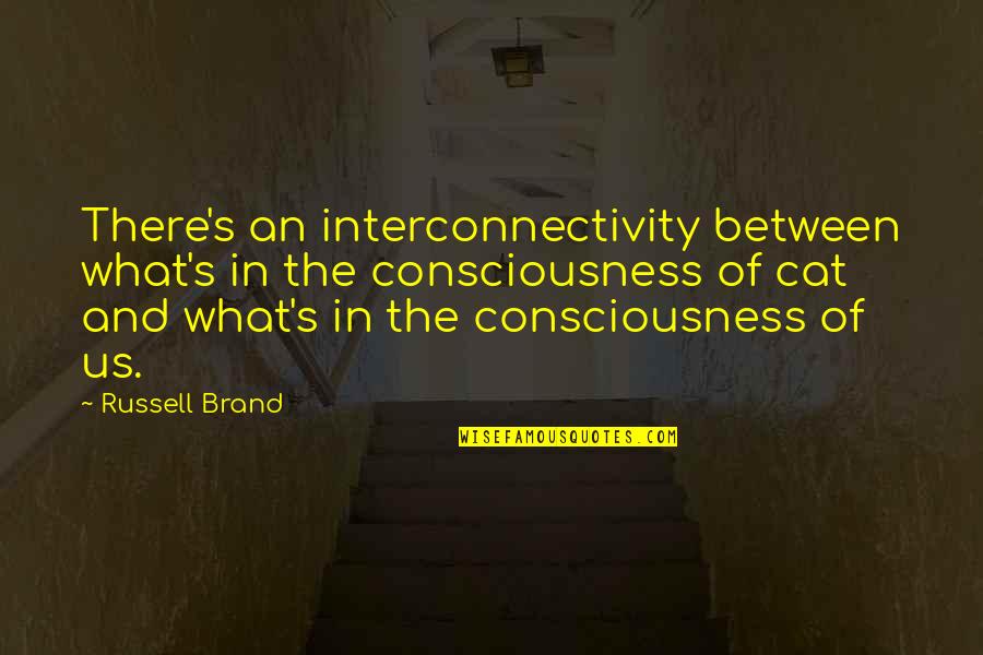 Best Boyfriend And Dad Quotes By Russell Brand: There's an interconnectivity between what's in the consciousness