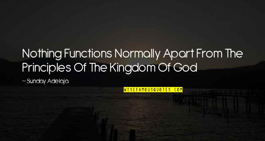 Best Brain Teaser Quotes By Sunday Adelaja: Nothing Functions Normally Apart From The Principles Of