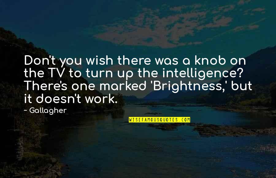 Best Brightness Quotes By Gallagher: Don't you wish there was a knob on
