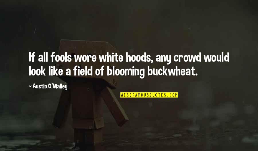 Best Buckwheat Quotes By Austin O'Malley: If all fools wore white hoods, any crowd Best Buckwheat Quotes By Austin O'Malley: If all fools wore white hoods, any crowd
