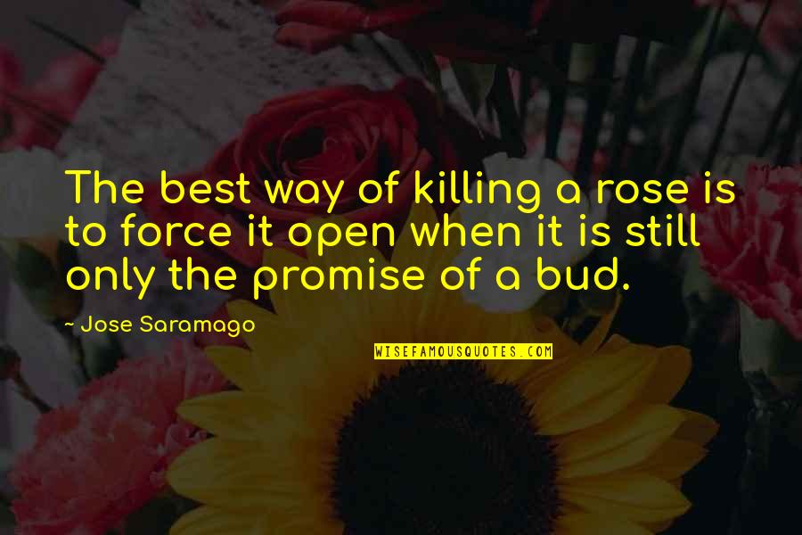 Best Bud Quotes By Jose Saramago: The best way of killing a rose is