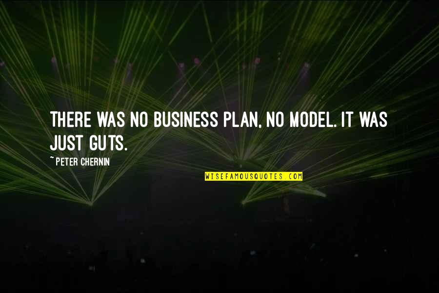 Best Business Plan Quotes By Peter Chernin: There was no business plan, no model. It
