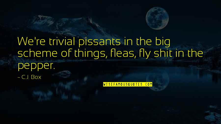 Best Buy Trade In Quotes By C.J. Box: We're trivial pissants in the big scheme of