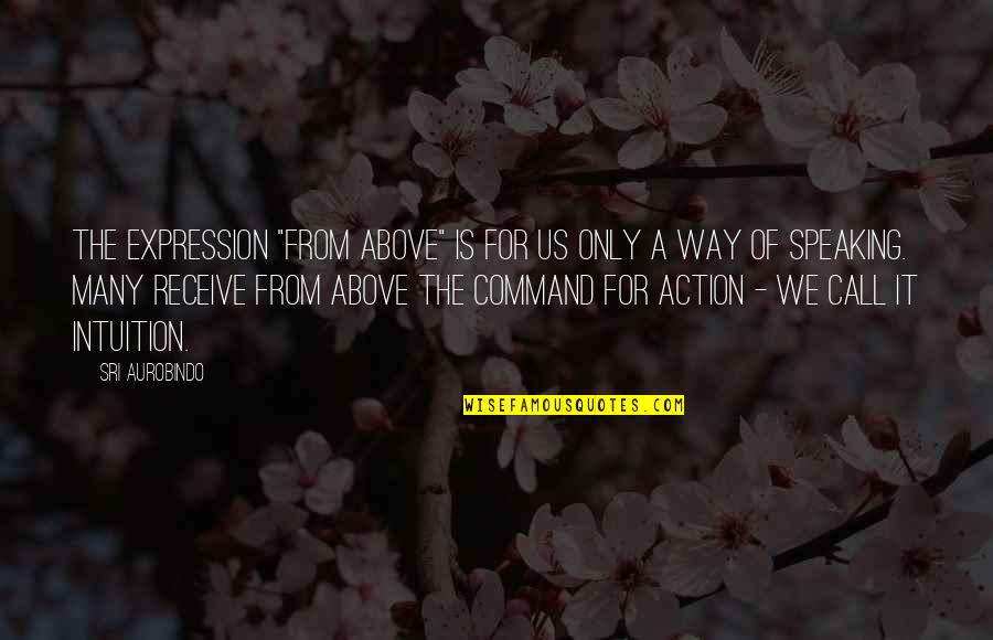 Best Call To Action Quotes By Sri Aurobindo: The expression "from above" is for us only
