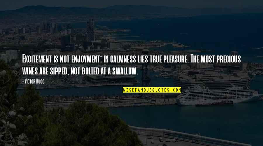 Best Calmness Quotes By Victor Hugo: Excitement is not enjoyment: in calmness lies true