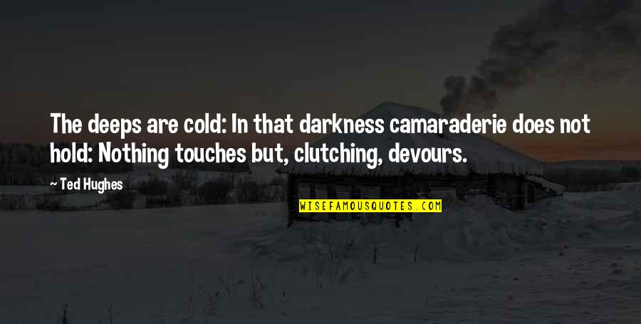 Best Camaraderie Quotes By Ted Hughes: The deeps are cold: In that darkness camaraderie