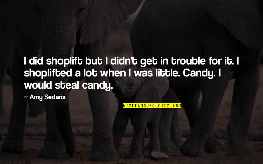 Best Candy Quotes By Amy Sedaris: I did shoplift but I didn't get in Best Candy Quotes By Amy Sedaris: I did shoplift but I didn't get in