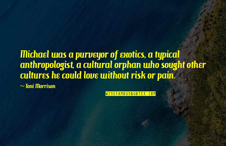 Best Captain Kirk Quotes By Toni Morrison: Michael was a purveyor of exotics, a typical