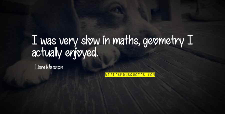 Best Career Related Quotes By Liam Neeson: I was very slow in maths, geometry I