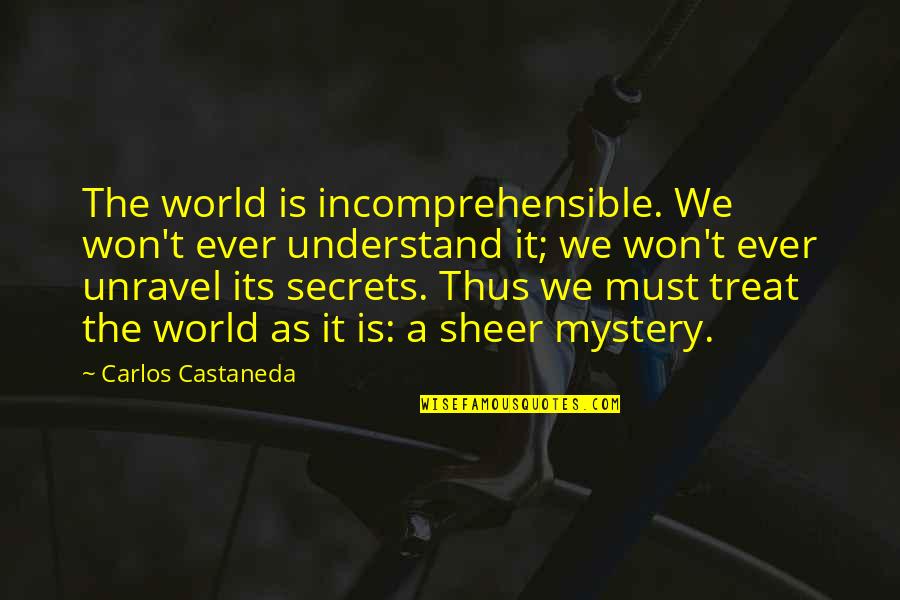 Best Castaneda Quotes By Carlos Castaneda: The world is incomprehensible. We won't ever understand Best Castaneda Quotes By Carlos Castaneda: The world is incomprehensible. We won't ever understand