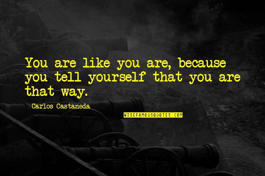 Best Castaneda Quotes By Carlos Castaneda: You are like you are, because you tell Best Castaneda Quotes By Carlos Castaneda: You are like you are, because you tell