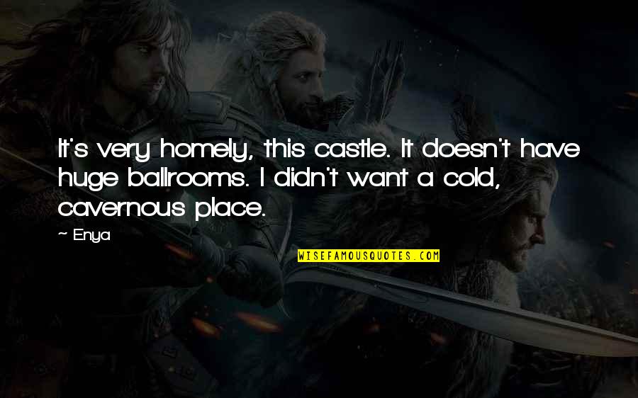 Best Castle Quotes By Enya: It's very homely, this castle. It doesn't have