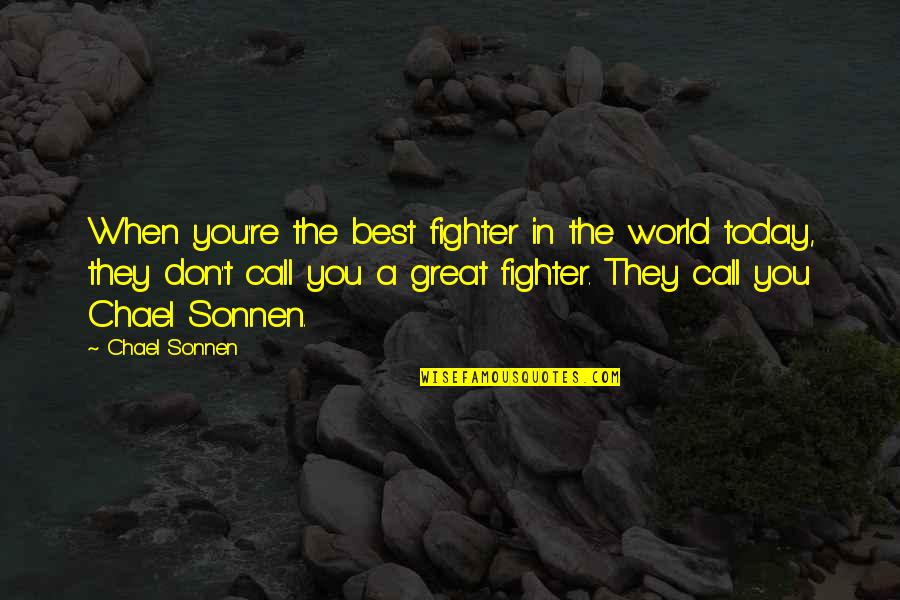 Best Chael Sonnen Quotes By Chael Sonnen: When you're the best fighter in the world