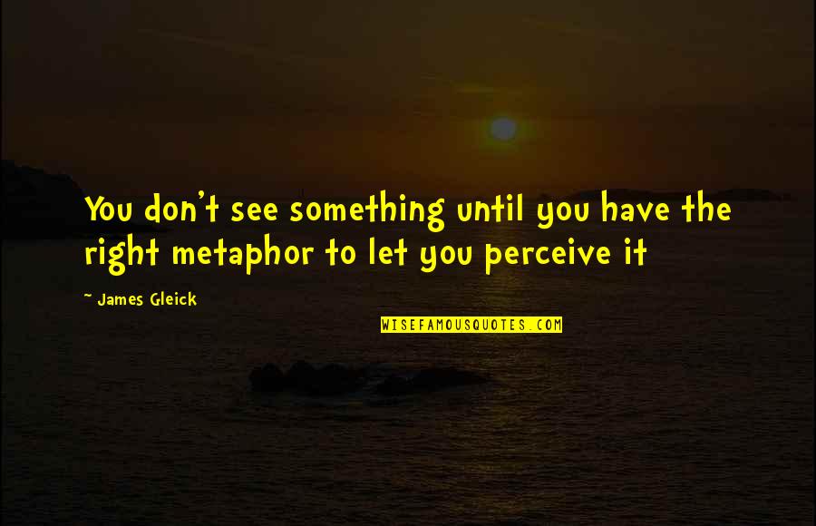 Best Chaos Quotes By James Gleick: You don't see something until you have the