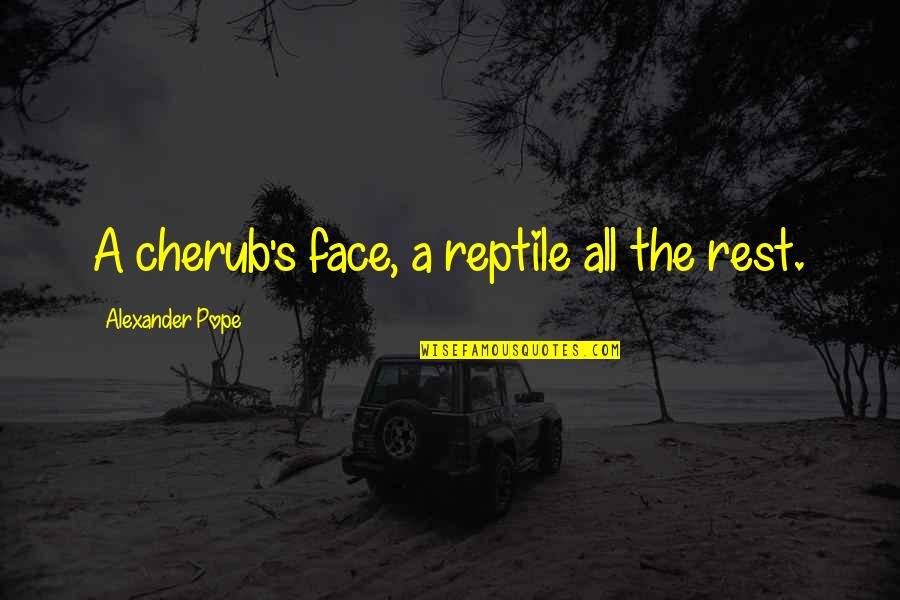 Best Cherub Quotes By Alexander Pope: A cherub's face, a reptile all the rest.