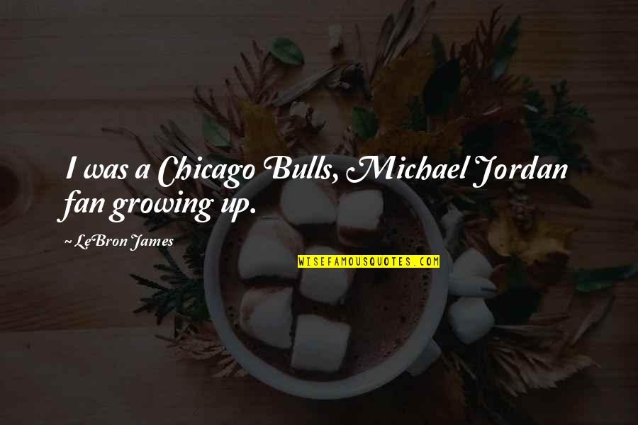 Best Chicago Bulls Quotes By LeBron James: I was a Chicago Bulls, Michael Jordan fan