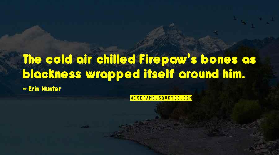 Best Chilled Out Quotes By Erin Hunter: The cold air chilled Firepaw's bones as blackness