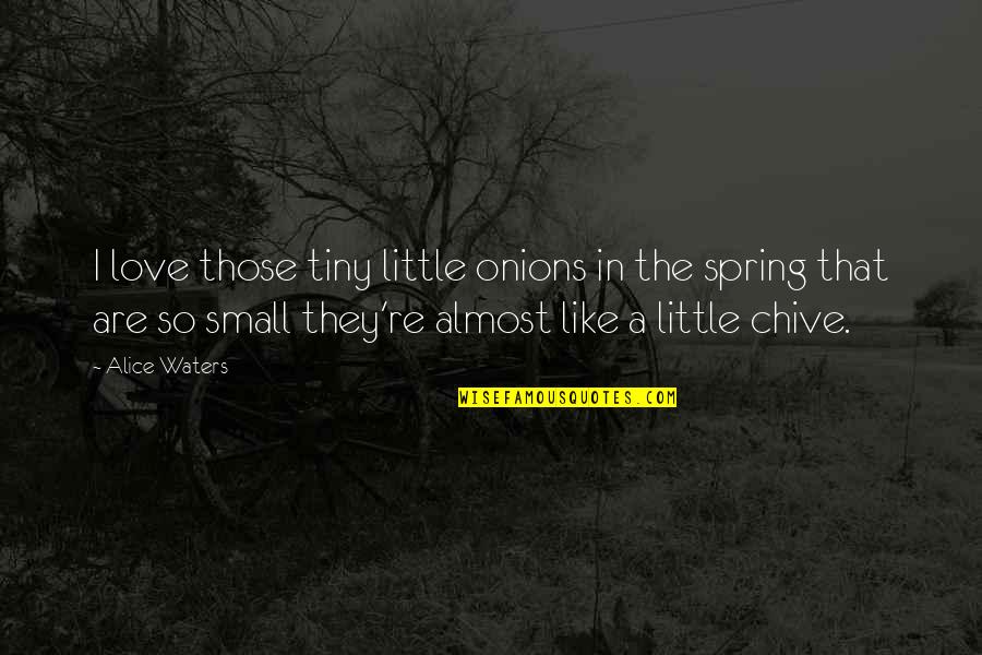 Best Chive Quotes By Alice Waters: I love those tiny little onions in the
