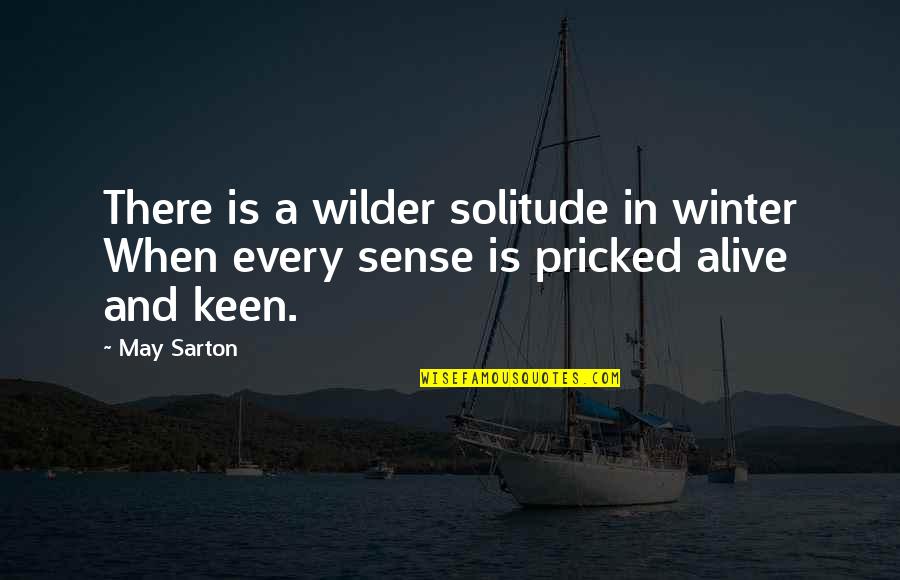 Best Chummy Quotes By May Sarton: There is a wilder solitude in winter When