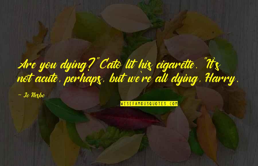 Best Cigarette Quotes By Jo Nesbo: Are you dying?"Cato lit his cigarette. "It's not Best Cigarette Quotes By Jo Nesbo: Are you dying?"Cato lit his cigarette. "It's not