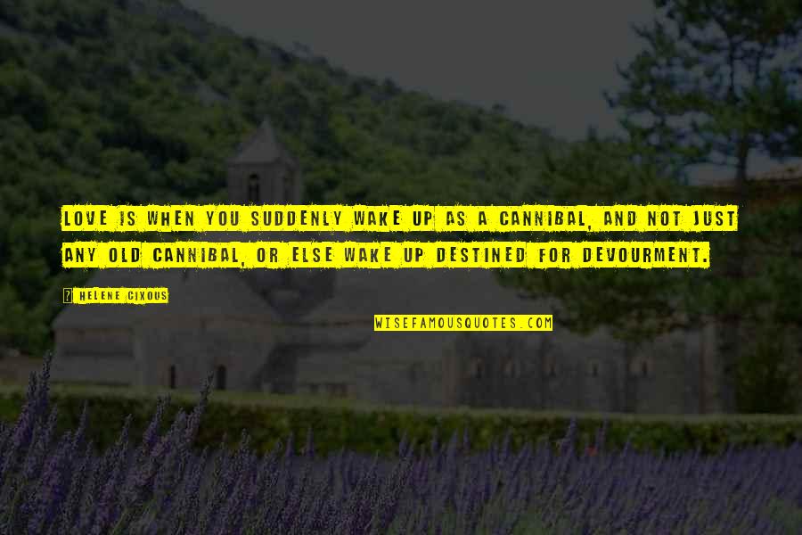 Best Cixous Quotes By Helene Cixous: Love is when you suddenly wake up as Best Cixous Quotes By Helene Cixous: Love is when you suddenly wake up as