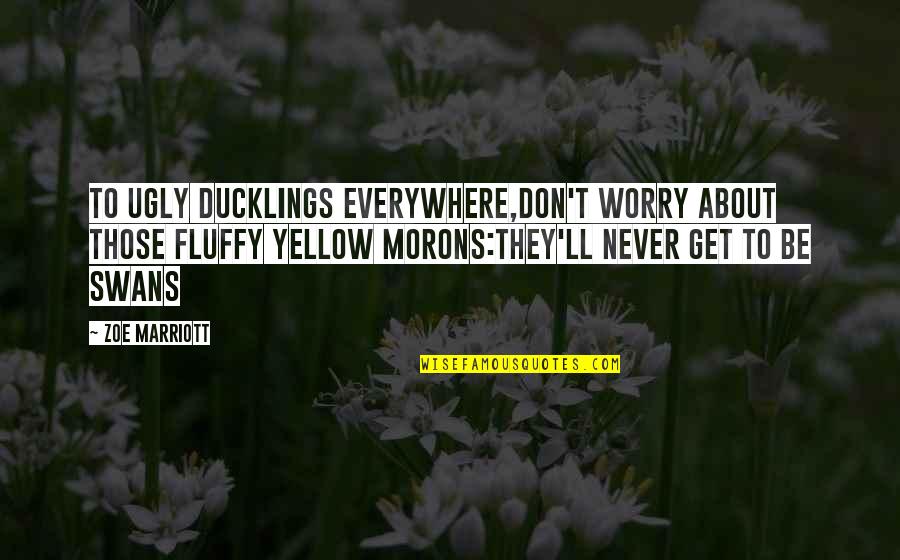 Best Clever And Funny Quotes By Zoe Marriott: To ugly ducklings everywhere,Don't worry about those fluffy