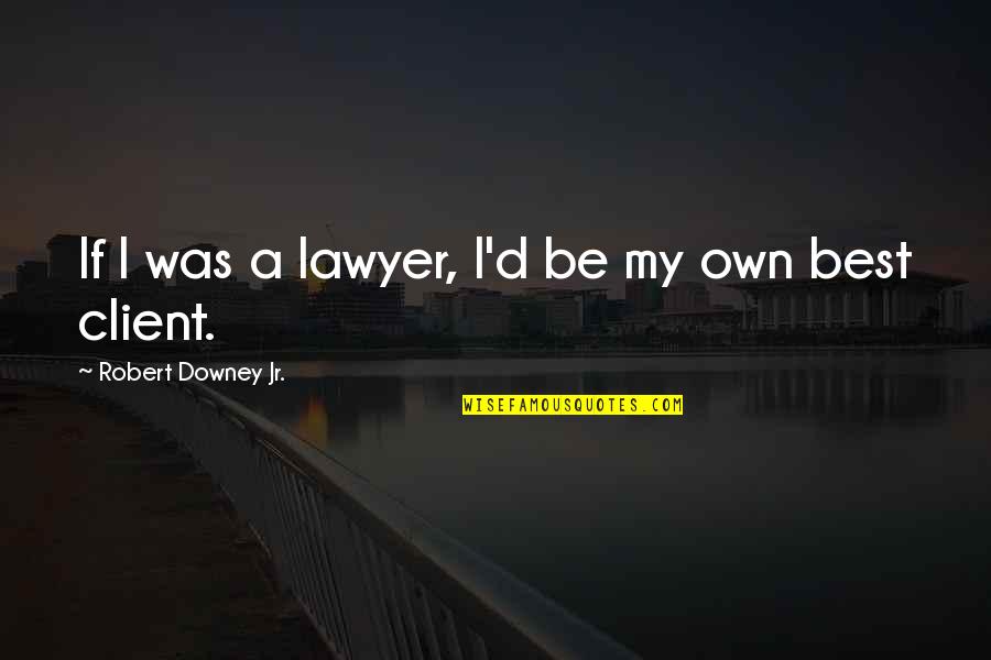 Best Client Quotes By Robert Downey Jr.: If I was a lawyer, I'd be my