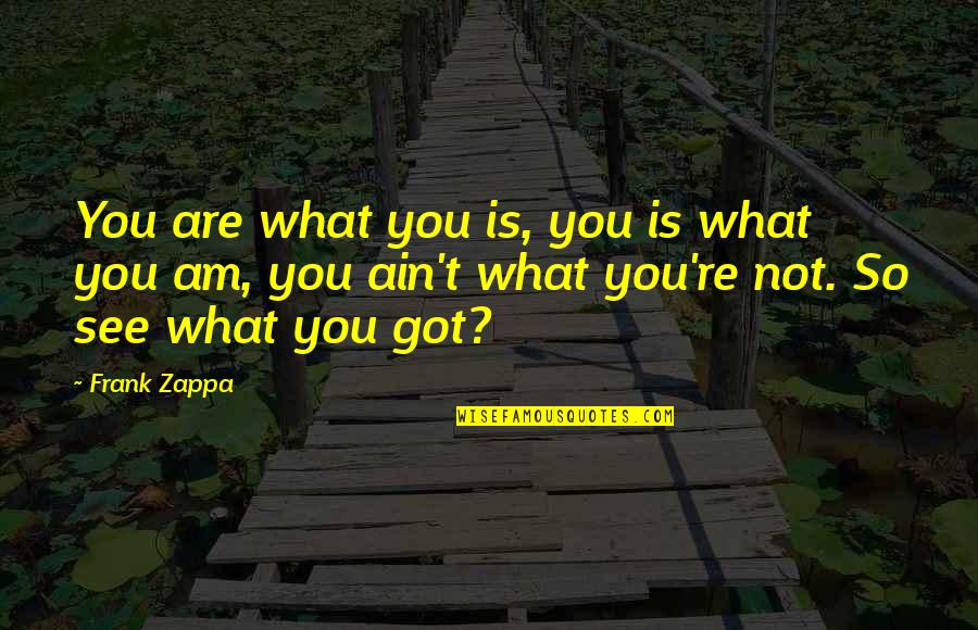Best Cny Quotes By Frank Zappa: You are what you is, you is what