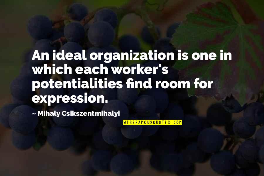 Best Co Worker Quotes By Mihaly Csikszentmihalyi: An ideal organization is one in which each