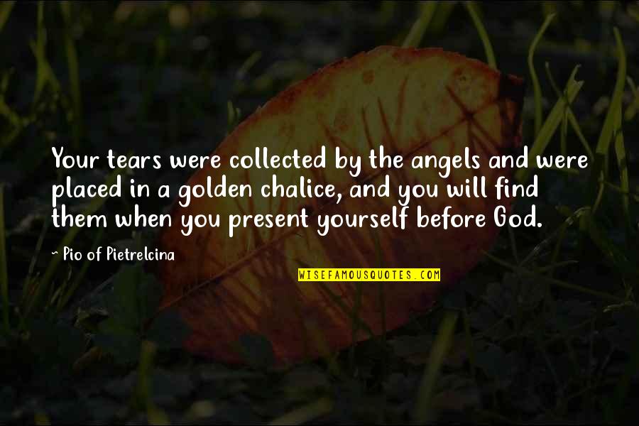 Best Collected Quotes By Pio Of Pietrelcina: Your tears were collected by the angels and