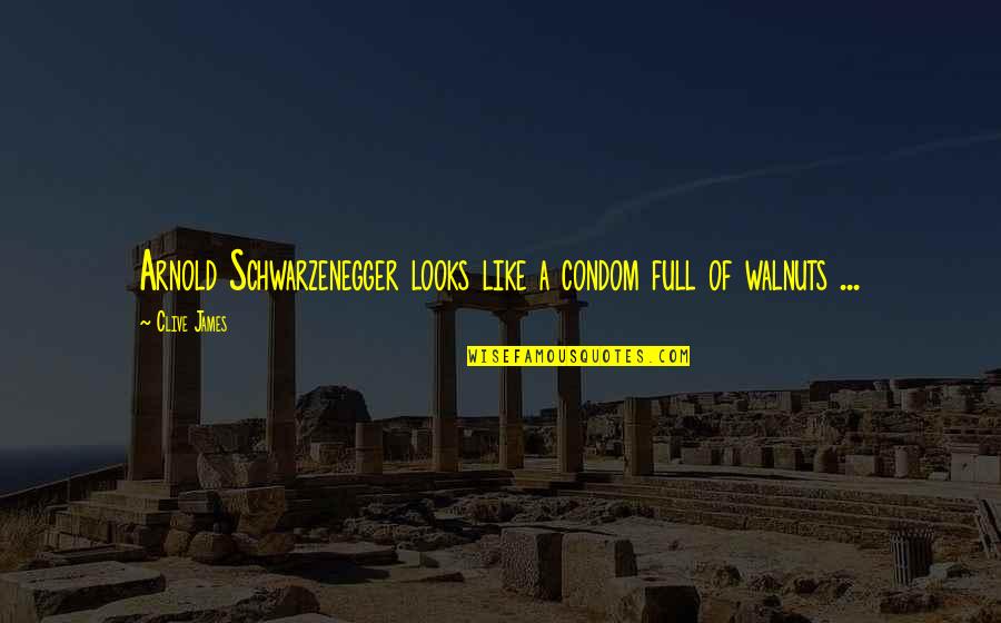 Best Condom Quotes By Clive James: Arnold Schwarzenegger looks like a condom full of Best Condom Quotes By Clive James: Arnold Schwarzenegger looks like a condom full of