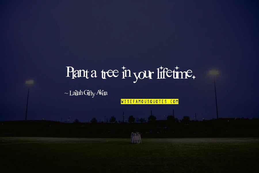 Best Conservation Quotes By Lailah Gifty Akita: Plant a tree in your lifetime. Best Conservation Quotes By Lailah Gifty Akita: Plant a tree in your lifetime.