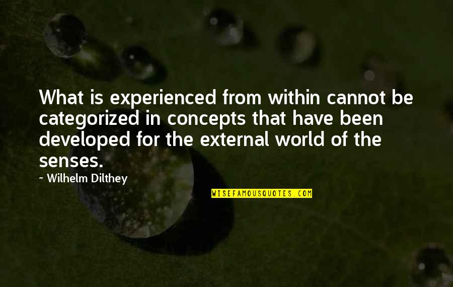 Best Cookware Quotes By Wilhelm Dilthey: What is experienced from within cannot be categorized