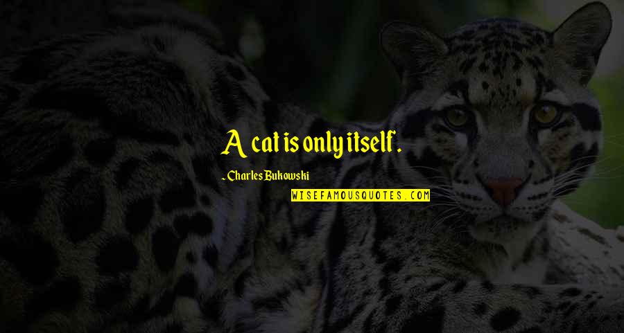 Best Cosi Quotes By Charles Bukowski: A cat is only itself.
