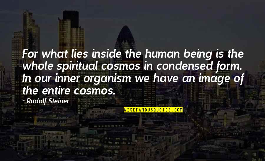 Best Cosmos Quotes By Rudolf Steiner: For what lies inside the human being is