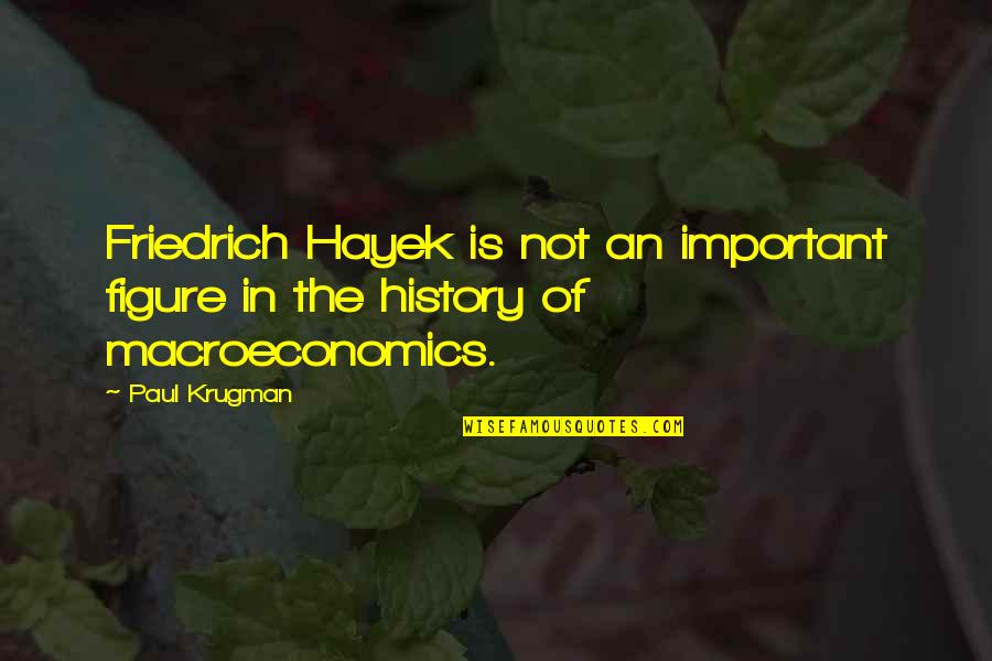 Best Couples Images And Quotes By Paul Krugman: Friedrich Hayek is not an important figure in