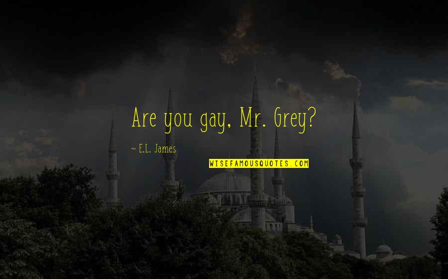 Best Coven Quotes By E.L. James: Are you gay, Mr. Grey?