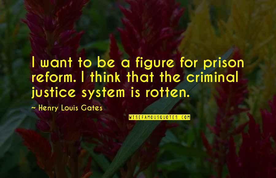 Best Criminal Justice Quotes By Henry Louis Gates: I want to be a figure for prison