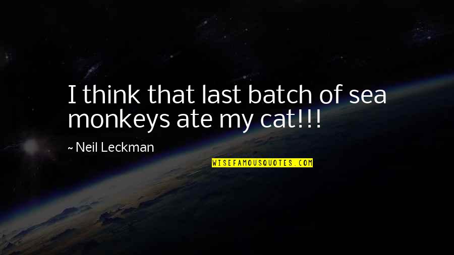 Best Cubicle Quotes By Neil Leckman: I think that last batch of sea monkeys