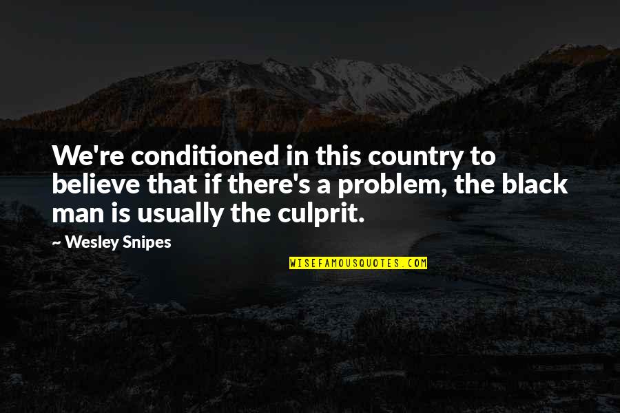 Best Culprit Quotes By Wesley Snipes: We're conditioned in this country to believe that