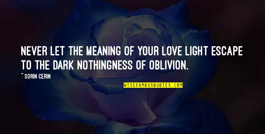 Best Dark Love Quotes By Sorin Cerin: Never let the meaning of your love light