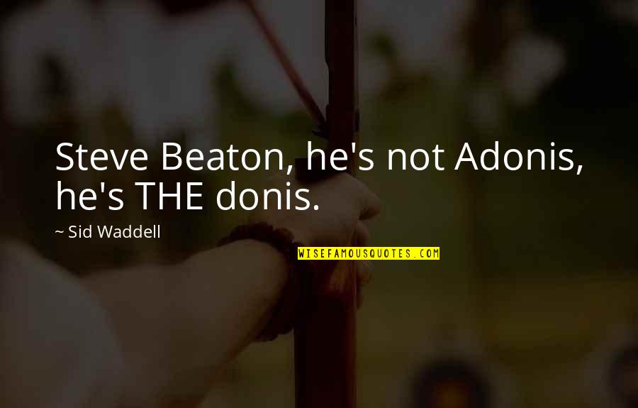 Best Darts Quotes By Sid Waddell: Steve Beaton, he's not Adonis, he's THE donis. Best Darts Quotes By Sid Waddell: Steve Beaton, he's not Adonis, he's THE donis.