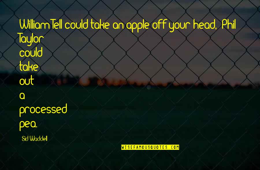 Best Darts Quotes By Sid Waddell: William Tell could take an apple off your