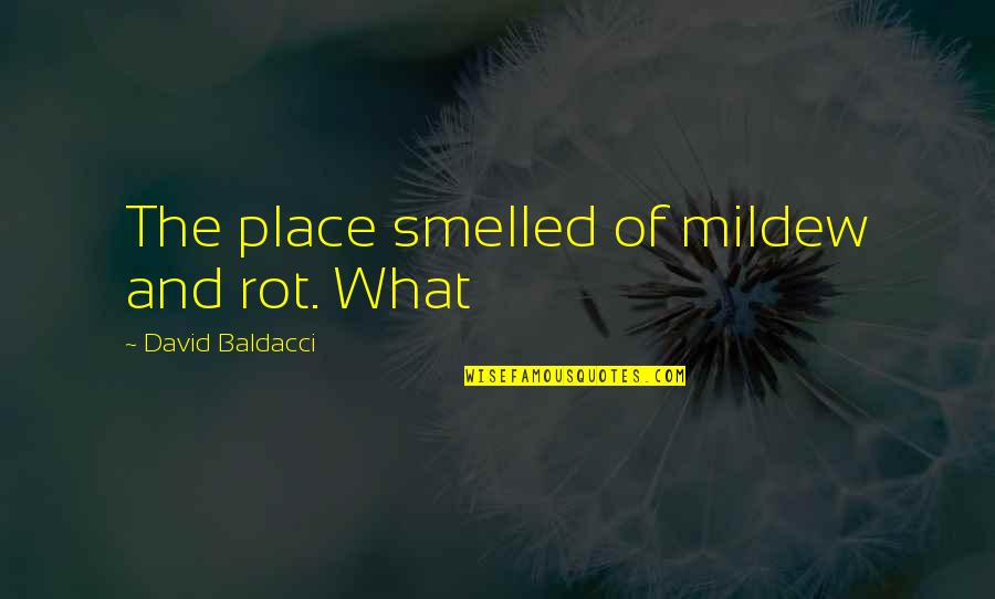 Best Dashain Wishes Quotes By David Baldacci: The place smelled of mildew and rot. What Best Dashain Wishes Quotes By David Baldacci: The place smelled of mildew and rot. What