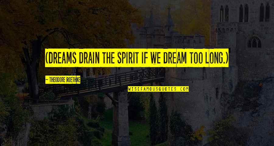 Best Daydreaming Quotes By Theodore Roethke: (Dreams drain the spirit if we dream too